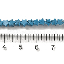 Dyed Synthetic Turquoise Beads Strands&nbsp;G-G085-B31-01
