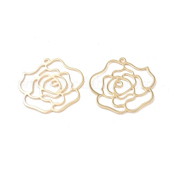 Brass Pendants&nbsp;KK-I702-31G