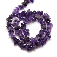 Natural Amethyst Chips Beads Strands&nbsp;G-P030-02