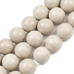 Natural Petrified Wood Beads Strands&nbsp;G-L648-A03-16mm-01