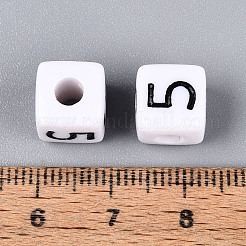 Opaque Acrylic European Large Hole Beads&nbsp;SACR-N020-01B-06