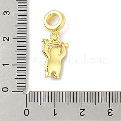 Rack Plating Brass Micro Pave Clear Cubic Zirconia Enamel European Dangle Charms&nbsp;KK-S380-27G-02