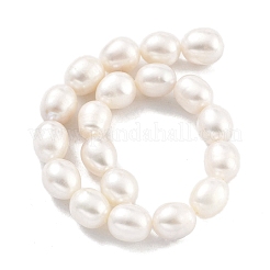 Natural Cultured Freshwater Pearl Beads Strands&nbsp;PEAR-P062-13E
