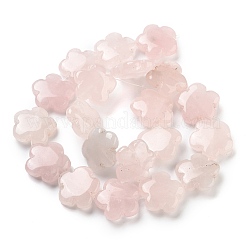 Natural Rose Quartz Beads Strands&nbsp;G-F769-X01-02