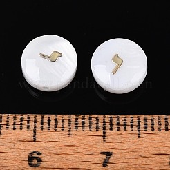 Natural Freshwater Shell Beads&nbsp;BSHE-ZX007-03H