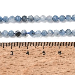 Natural Devil Blue Aquamarine Beads Strands&nbsp;G-P629-A02-03