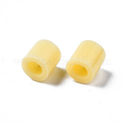 PE Fuse Beads&nbsp;X-DIY-R013-A19