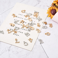 2 Sets 2 Colors Alloy Rhinestone Charms&nbsp;ALRI-FW0001-01
