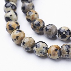 Natural Dalmatian Jasper Bead Strands&nbsp;G-R345-6mm-51
