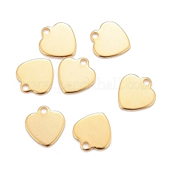 201 Stainless Steel Charms&nbsp;LS-STAS-K217-63G