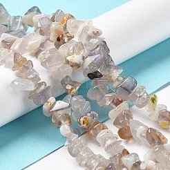 Natural Chalcedony Beads Strands&nbsp;LS-G-M205-83