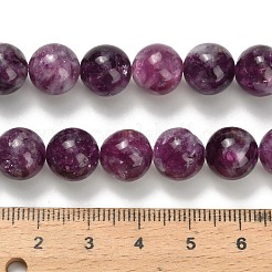 Natural Lepidolite Beads Strands&nbsp;G-L634-B01-10mm