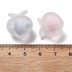 Frosted Transparent Acrylic Beads&nbsp;OACR-A032-18