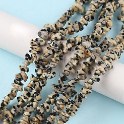 Natural Dalmatian Jasper Beads Strands&nbsp;X-G-G0003-B29