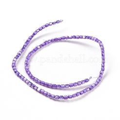 Natural Trochus Shell Beads Strands&nbsp;SSHEL-H070-02