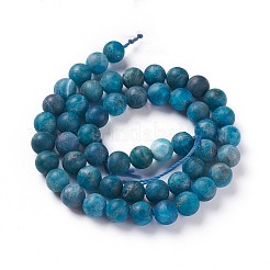 Natural Apatite Beads Strands&nbsp;G-F617-02-6mm
