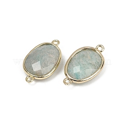 Natural Amazonite Faceted Connector Charms&nbsp;G-K347-11G-04