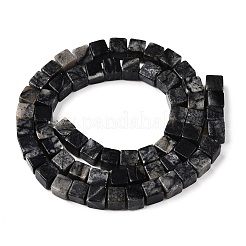Natural Black Netstone Beads Strands&nbsp;G-T139-6x6-24A