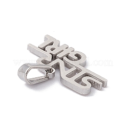 Non-Tarnish 304 Stainless Steel Charms&nbsp;STAS-G284-06P