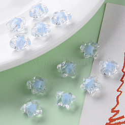 Transparent Acrylic Beads&nbsp;TACR-S152-01A-SS2113