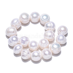Natural Cultured Freshwater Pearl Beads Strands&nbsp;PEAR-N013-10D