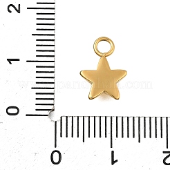 304 Stainless Steel Charms&nbsp;STAS-R159-22G