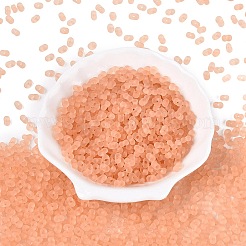 FGB Frosted Transparent Glass Seed Beads&nbsp;SEED-N013-06A-04