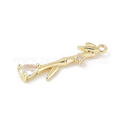 Brass Micro Pave Cubic Zirconia Pendants&nbsp;LS-KK-M326-13B-G