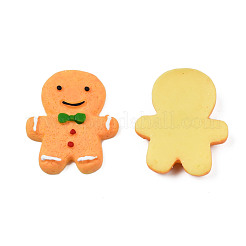 Resin Decoden Cabochons&nbsp;CRES-N022-106
