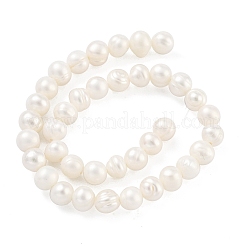 Natural Cultured Freshwater Pearl Beads Strands&nbsp;PEAR-C003-10B