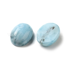 Natural Larimar Cabochons&nbsp;G-E616-06C