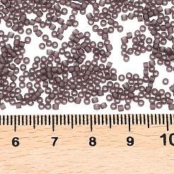 MIYUKI Delica Beads&nbsp;X-SEED-J020-DB2405