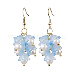Flower Transparent Spray Painted Glass Cluster Earrings&nbsp;EJEW-JE05741