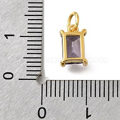925 Sterling Silver Pave Clear Cubic Zirconia Charms&nbsp;STER-V001-02G-02