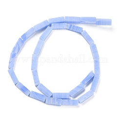 Synthetic Blue Lace Agate Beads Strands&nbsp;G-M401-B01