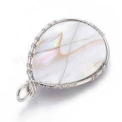 Abalone Shell/Paua Shell Wire Wrapped Big Pendants&nbsp;SSHEL-L008-58P