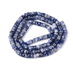 Natural Blue Spot Jasper Beads Strands&nbsp;G-Q606-46A-02
