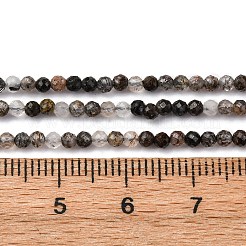 Natural Black Rutilated Quartz Beads Strands&nbsp;G-RM250104-C4