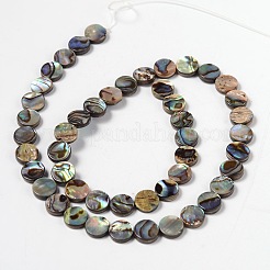 Natural Abalone Shell/Paua Shell Beads Strands&nbsp;SHS014-01