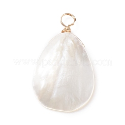Natural Trochid Shell/Trochus Shell Pendants&nbsp;PALLOY-JF01393
