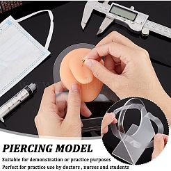 Soft Silicone Tongue Flexible Model Body Part Displays with Acrylic Stands&nbsp;ODIS-WH0002-23