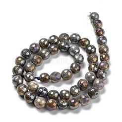 Natural Labradorite Beads Strands&nbsp;G-G723-01C