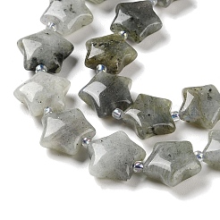 Natural Labradorite Beads Strands&nbsp;G-NH0005-020