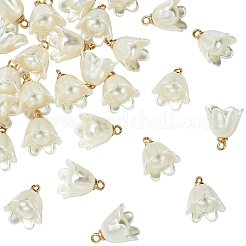 30Pcs Opaque Resin Imitation Pearl Charms&nbsp;FIND-YW0009-02