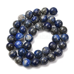 Natural Lapis Lazuli Round Bead Strands&nbsp;G-E262-01-10mm