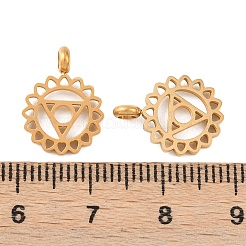 304 Stainless Steel Pendants&nbsp;STAS-D390-13G