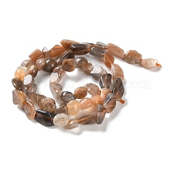 Natural Black Sunstone Beads Strands&nbsp;G-P497-01C-16
