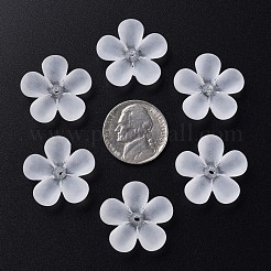 Transparent Acrylic Beads&nbsp;MACR-S373-116-D01