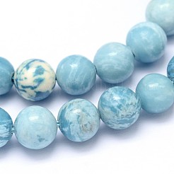 Natural Gemstone Beads Strands&nbsp;X-G-L367-01-4mm