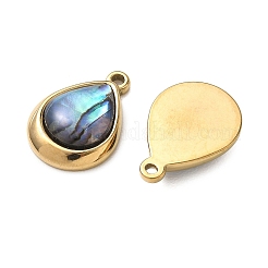 Natural Paua Shell Pendants&nbsp;STAS-G397-22G-02